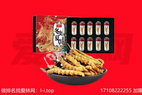 烟台招远市回收虫草.jpg